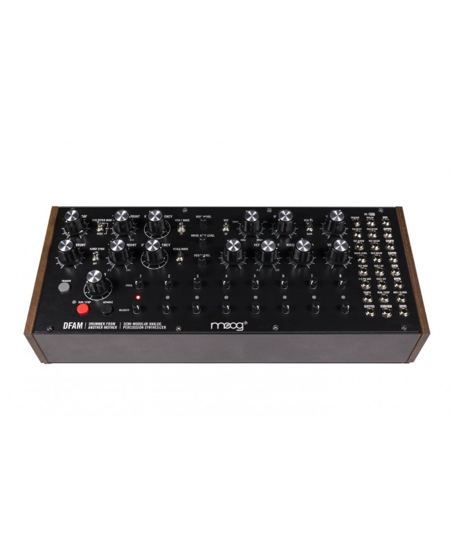 MOOG DFAM Synthesizer