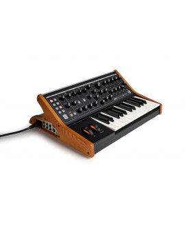 MOOG Subsequent 25 Synthesizers