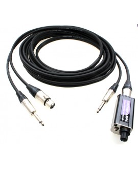FISCHER AMPS Guitar In Ear Cable 6m