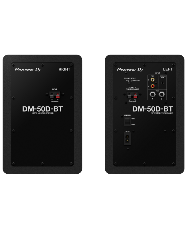 Pioneer DJ DM-50D-BT Monitor attivi Nearfield