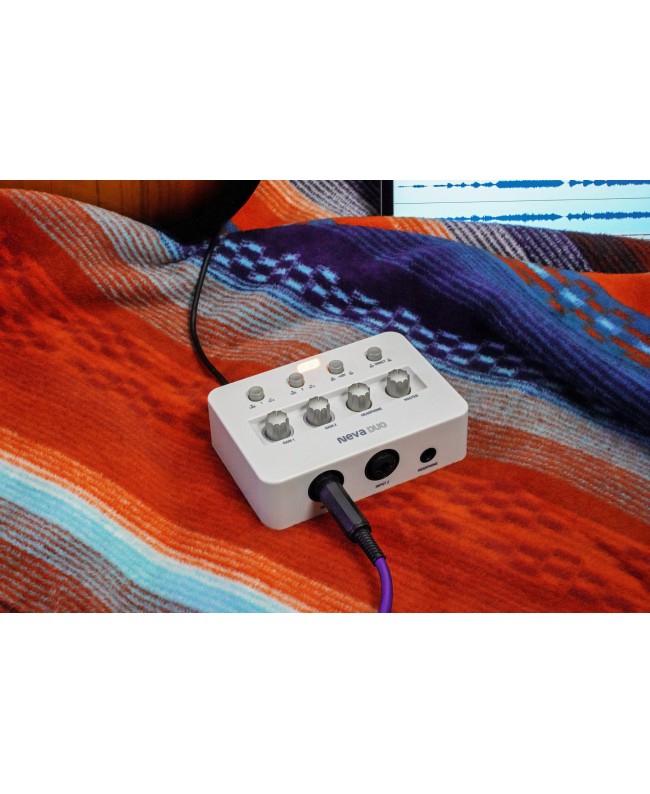 ESI Neva Duo USB Audio Interface