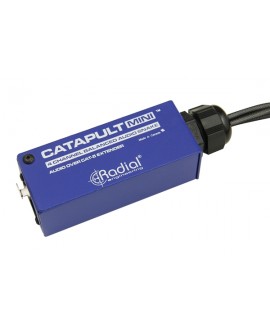 Radial Engineering RADIAL Catapult Mini TRS Adapter Kabel