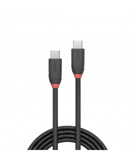 LINDY 36906 1m USB 3.2 Type C to C Cable, 20Gbps, Black Line USB Cables