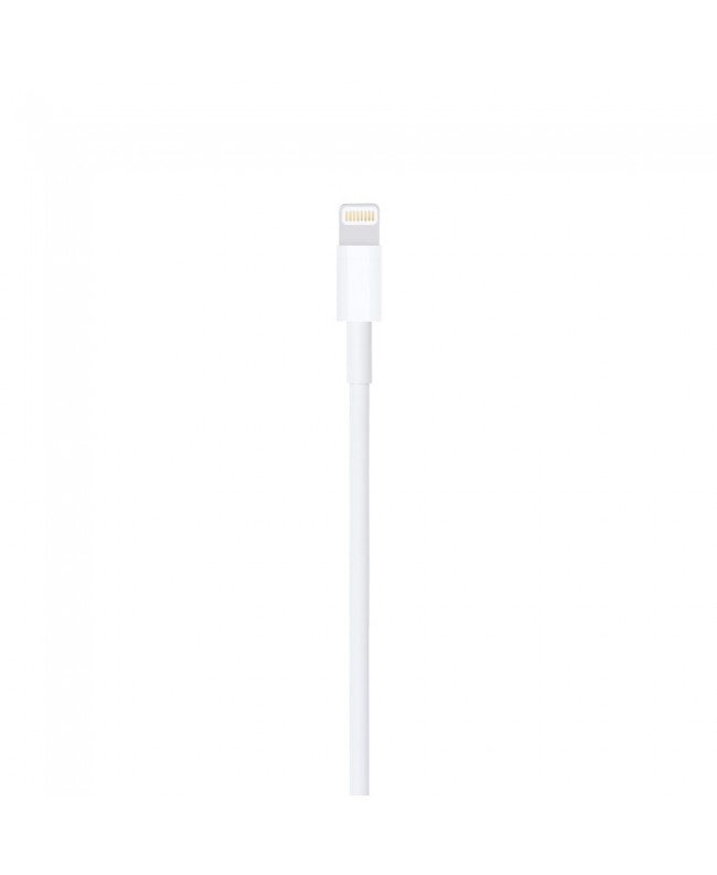 Apple Lighting Cable USB-A 0.5m Cavi adattatori