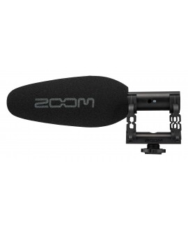 Zoom ZSG-1 Home