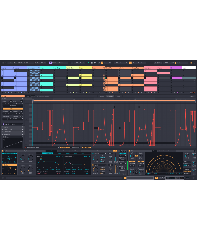 ABLETON Live 12 Standard UPG Lite Sequenzersoftware & virtuelle Studios