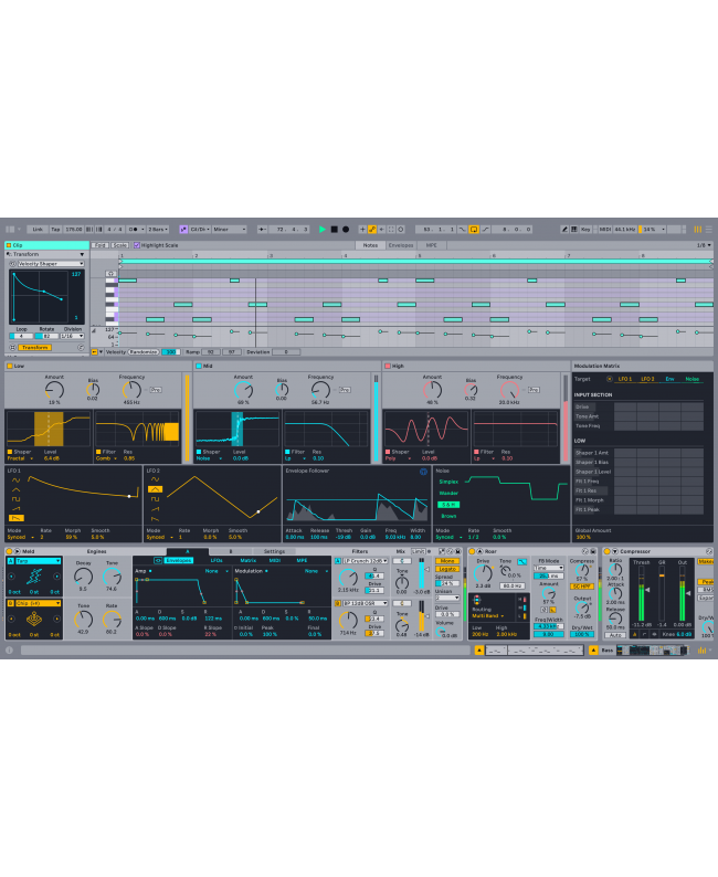 ABLETON Live 12 Standard UPG Lite Sequenzersoftware & virtuelle Studios