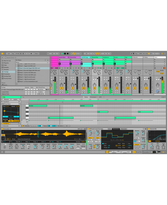 ABLETON Live 12 Standard UPG Lite Sequenzersoftware & virtuelle Studios