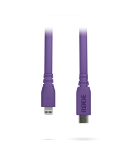 RODE SC19 Purple Adapter Kabel