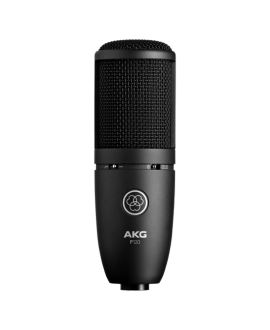 AKG P120 Large Diaphragm Microphones