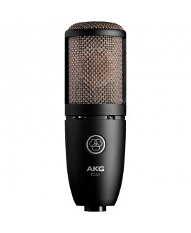 AKG P220 Large Diaphragm Microphones