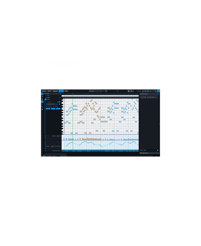 Steinberg Dorico Elements 5 Notation Software