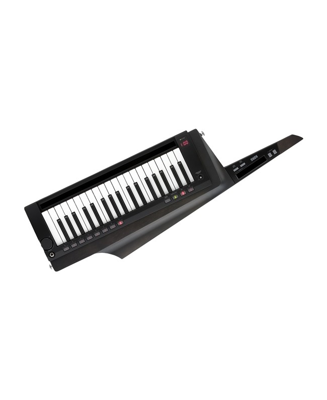 KORG RK-100S 2 BLACK Synthesizer