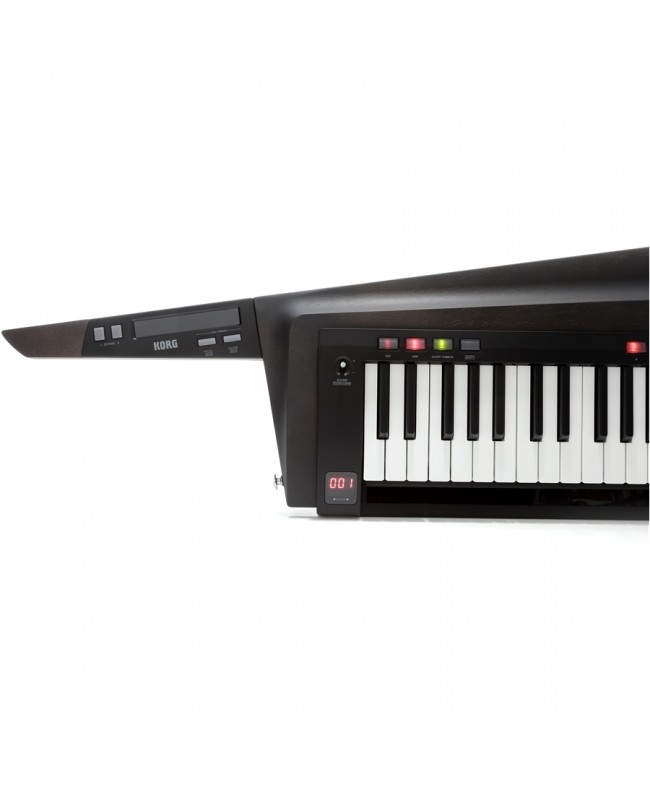 KORG RK-100S 2 BLACK Synthesizer