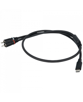 DAP FL110 - USB-C to 2 RCA male 0,75m Y Cables