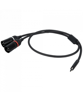 DAP FL112 - USB-C to 2 XLR/M 3P 0,75m Cavi Y