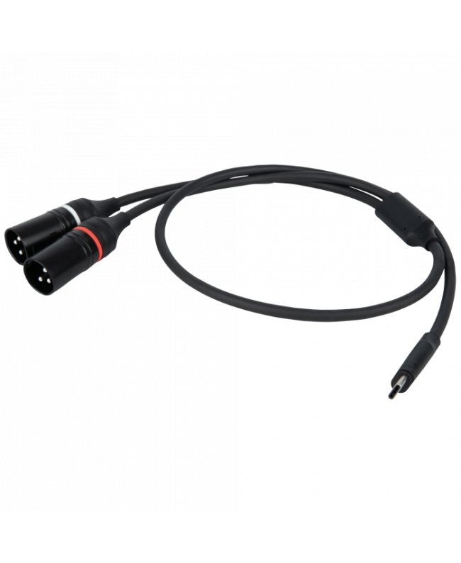 DAP FL112 - USB-C to 2 XLR/M 3P 0,75m Y Cables