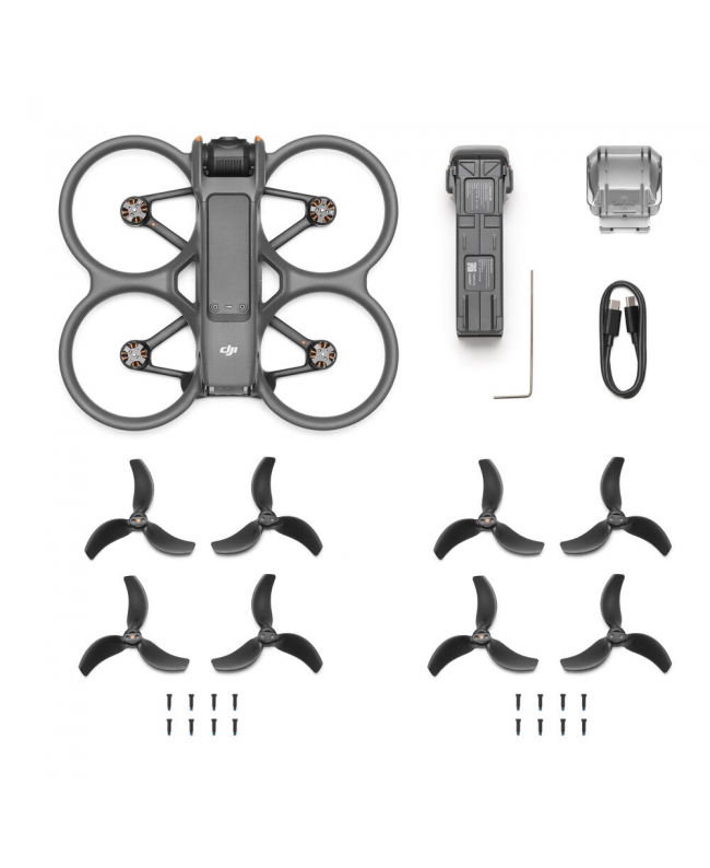 DJI Avata 2 Drohnen