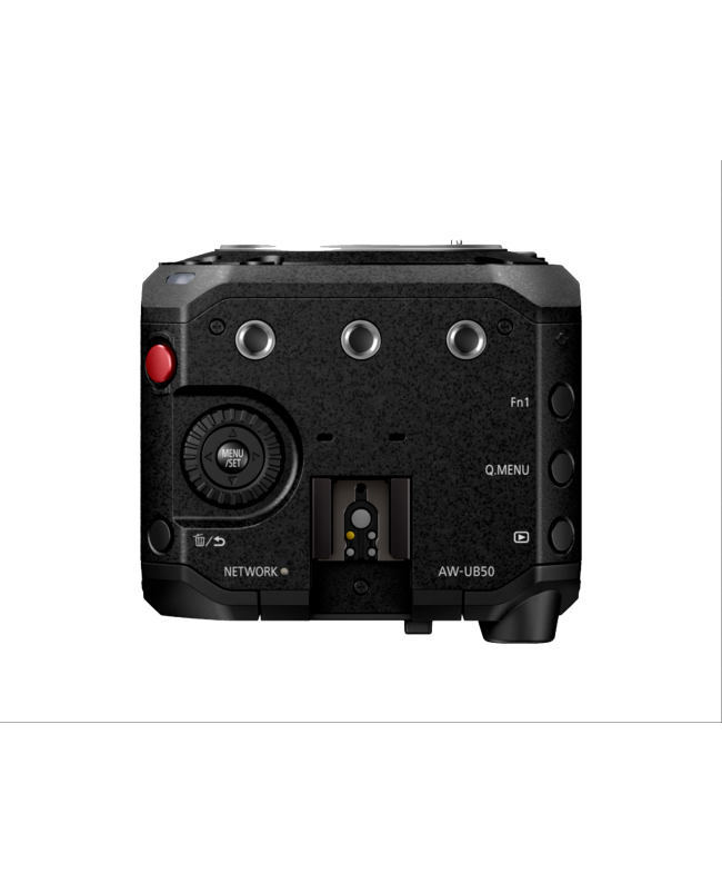 Panasonic AW-UB10E Digital Film Cameras