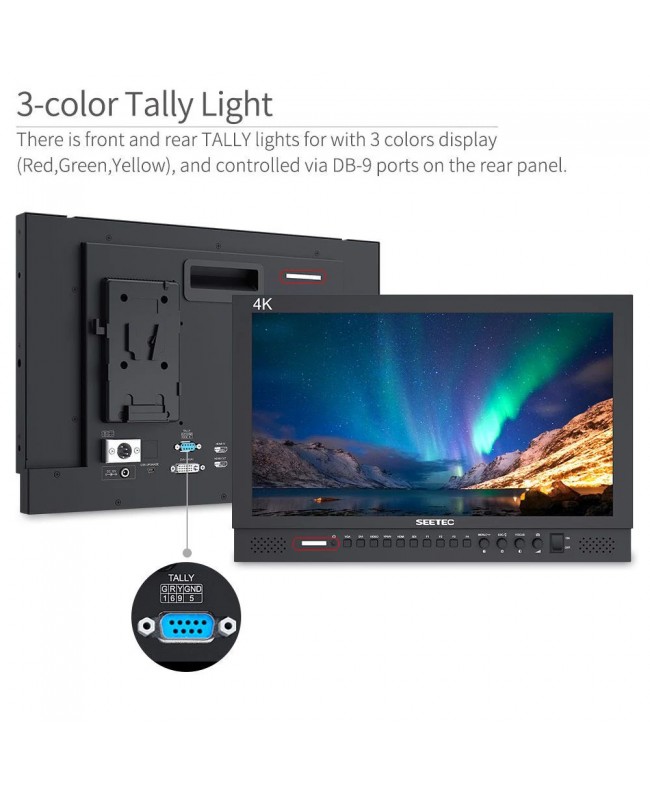 SEETEC P173-9HSD Monitor di gestione segnale