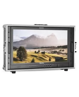 SEETEC P238-9HSD-CO Monitor di gestione segnale