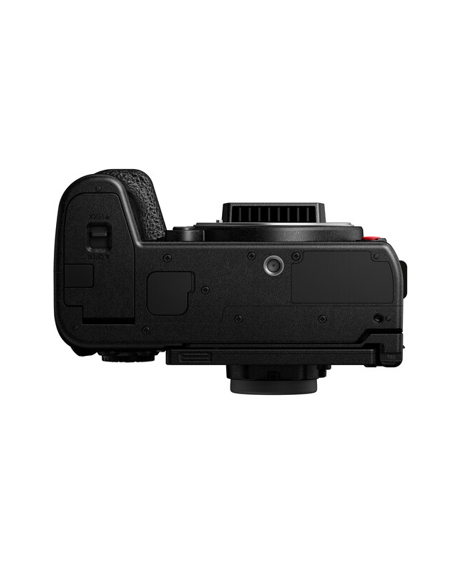 PANASONIC DC-S1RM2E Mirrorless Cameras