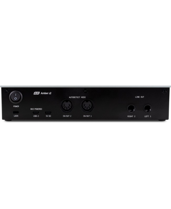 ESI Amber i2 USB Audio Interface