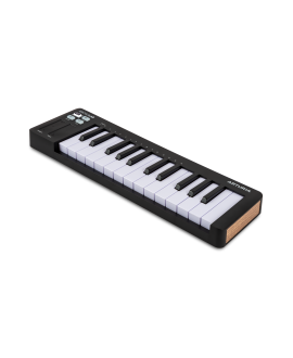 ARTURIA MicroLab mk3 Black MIDI Master Keyboards