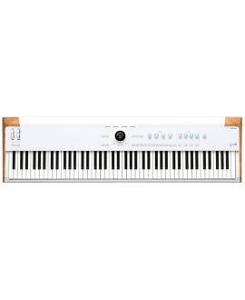 ARTURIA AstroLab 88 Synthesizer