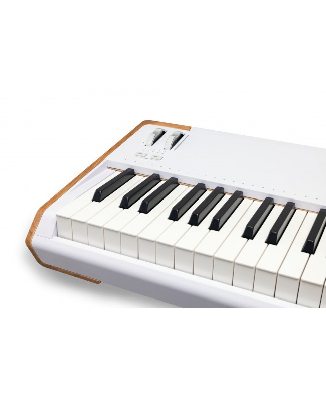 ARTURIA AstroLab 88 Synthesizers