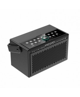SWIFF AUDIO S100 Akkubetriebene PA-Lautsprecher
