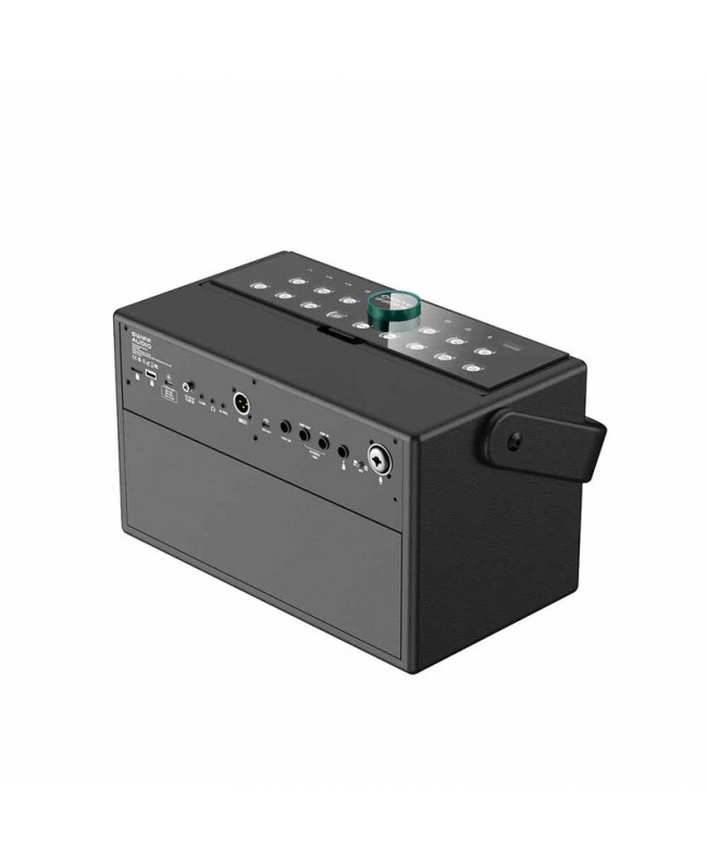SWIFF AUDIO S100 Battery powered PA