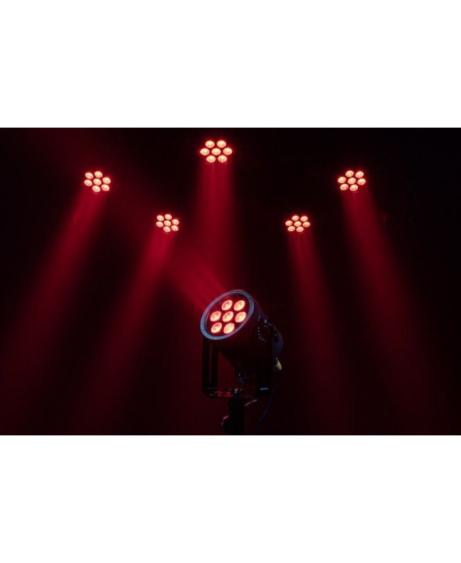 Infinity Raccoon Junior P7/4 PAR LED