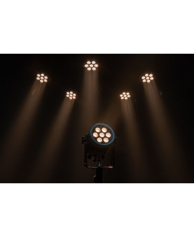 Infinity Raccoon Junior P7/4 PAR LED