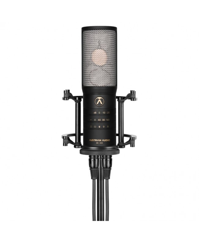 Austrian Audio OC-S10 Microfoni a condensatore diaframma largo