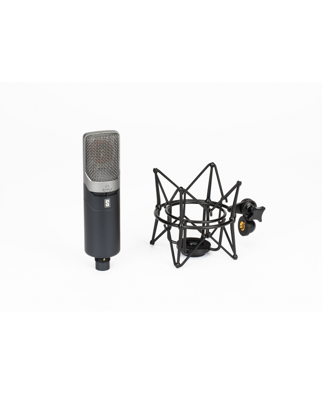 Slate Digital ML-1A Microfoni a condensatore diaframma largo