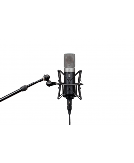 Slate Digital ML-1A Large Diaphragm Microphones