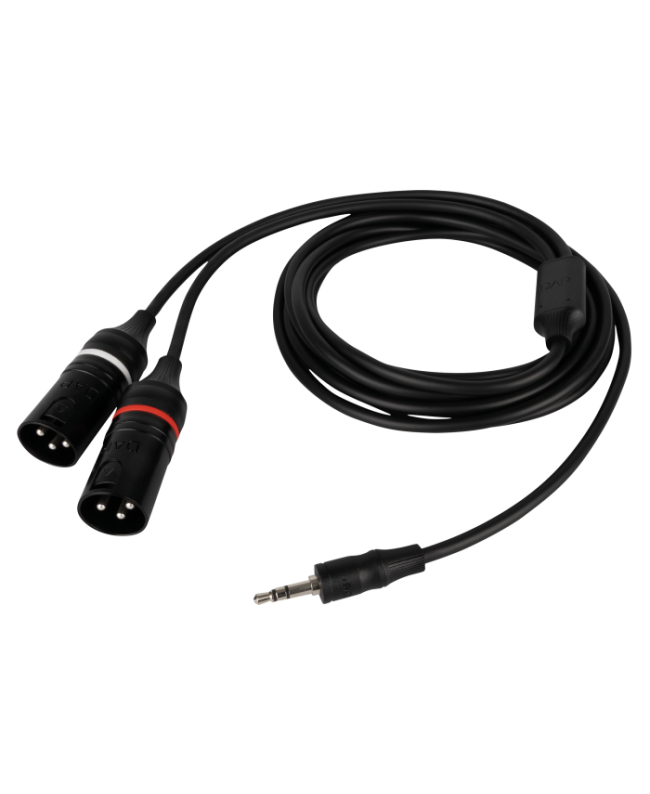 DAP FL120 - male stereo mini-jack to 2 XLR/M 3P Y Cables