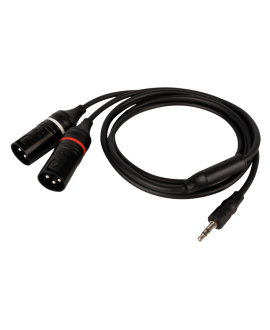 DAP FL120 - male stereo mini-jack to 2 XLR/M 3P Y Cables