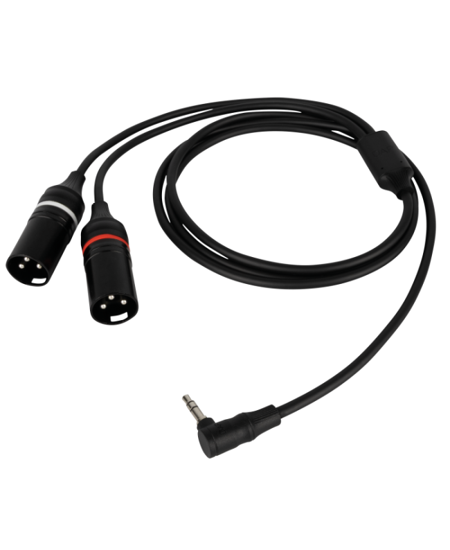 DAP FL118 - mini-jack stereo maschio ad angolo retto a 2 XLR/M 3P Cavi Y
