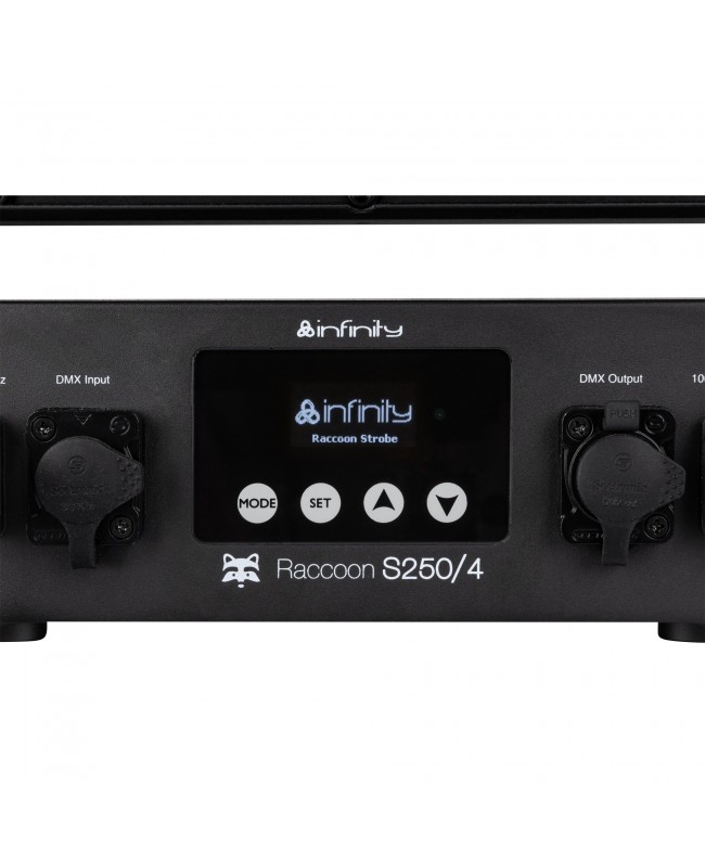 Infinity Raccoon S250/4 Junior Strobo