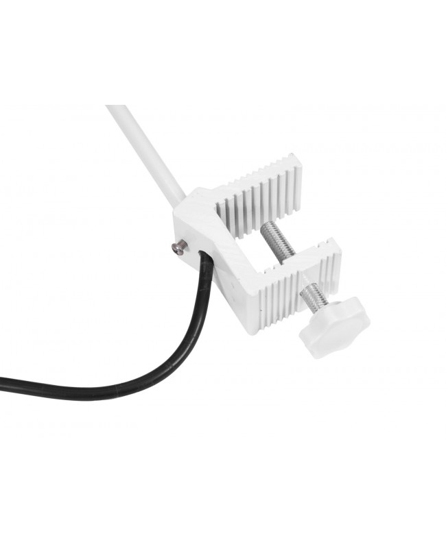 EUROLITE LED KKL-30 Proiettore bianco 4100K Ribalte & Ciclorama