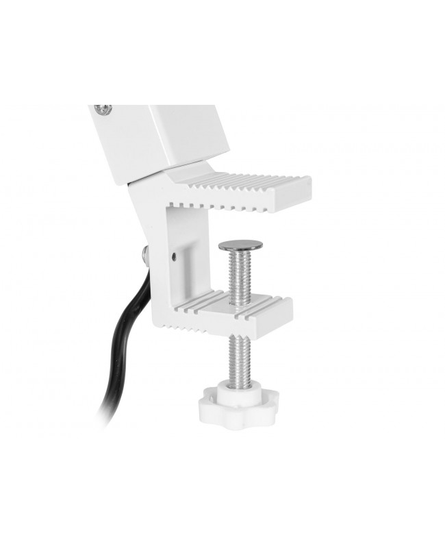 EUROLITE LED KKL-70 Fluter 4200K weiß Fluter & Cyclorama Leuchten