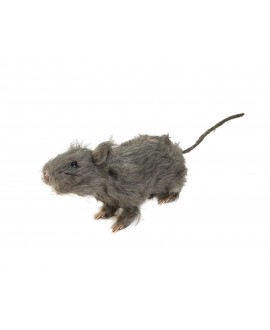 Europalms Rat, lifelike with coat 30cm Seasonal Items