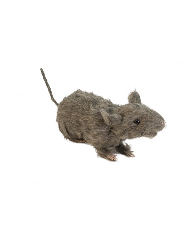 Europalms Rat, lifelike with coat 30cm Seasonal Items