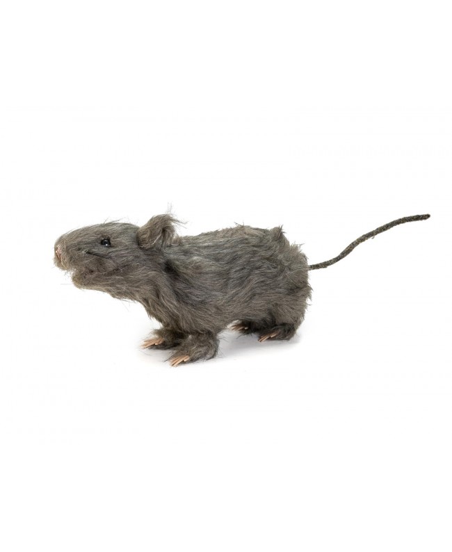 Europalms Rat, lifelike with coat 30cm Seasonal Items