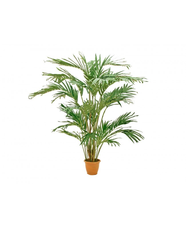 Europalms Canary date Palm, artificial plant, 240cm Flowers & Plants