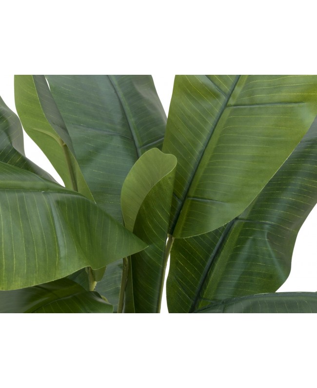 Europalms Albero di banane, pianta artificiale, 120 cm Fiori & piante