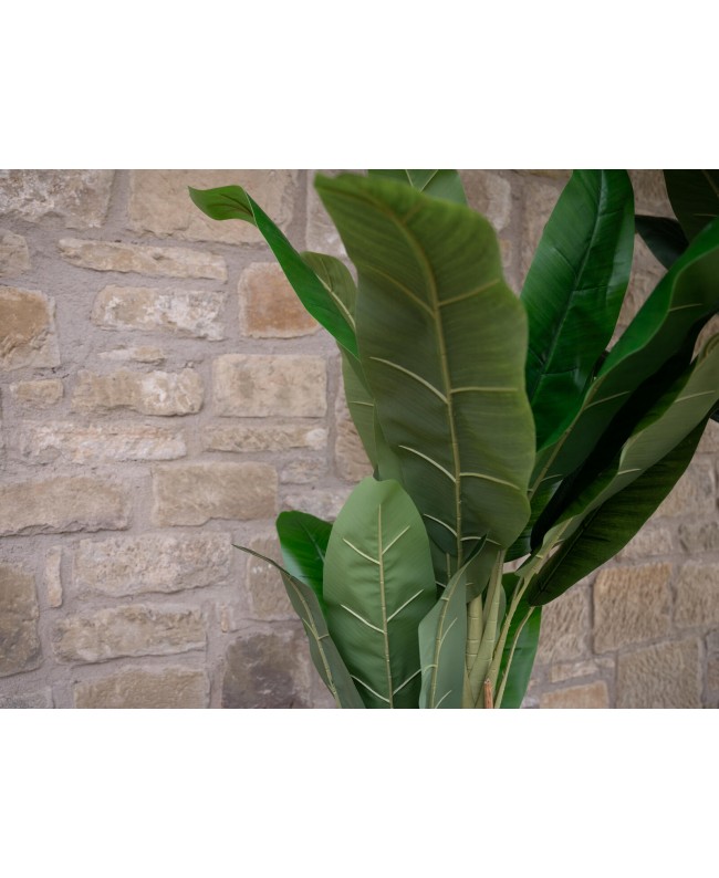 Europalms Bananenbaum, Kunstpflanze, 120cm Blumen & Pflanzen