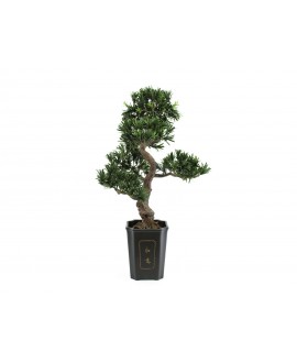 Europalms Bonsai Podocarpus, artificial plant, 80cm Flowers & Plants